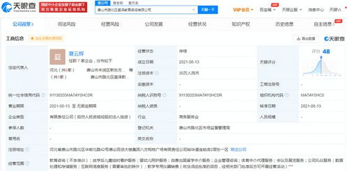 跨界布局與新需求探索 新東方多地成立教育咨詢公司的戰(zhàn)略解讀